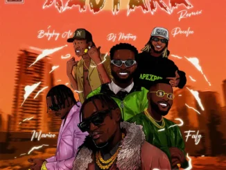 Jaivah – Kautaka (Remix) ft. Babyboy AV, Falz, Poco Lee, JFS Music, King Tone SA, DJ Neptune & Marioo