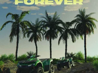 Tion Wayne – Forever ft. Shallipopi