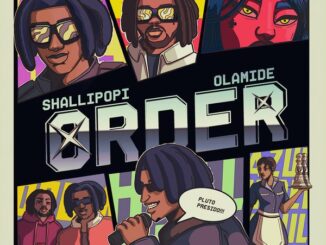 Shallipopi ft. Olamide - Order